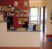 Williams River Veterinary Clinic - Australian Directory