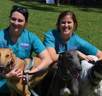 Wallsend Vet Newcastle - Australian Directory