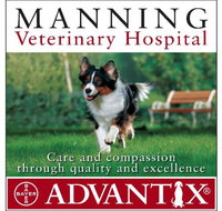 Manning Veterinary Hospital - Australian Directory