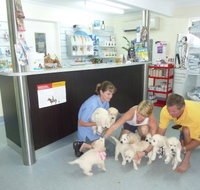 Faye McPherson - Australian Directory