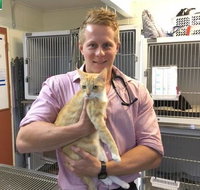 Jack Wall - Australian Directory