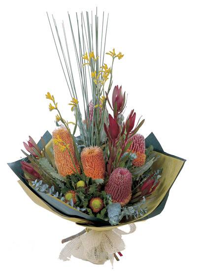 Buchanan NSW Australian Directory