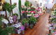 All Occasion Flowers & Party Hire - thumb 3
