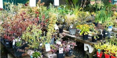 Murwillumbah Landscape Supplies - Australian Directory 0
