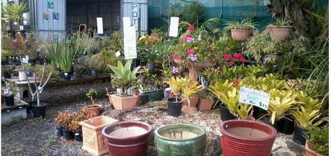 Murwillumbah Landscape Supplies - Australian Directory 4