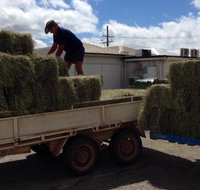 Proserpine Rural - Australian Directory