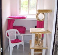 Carlyn Park Cattery - Australian Directory