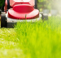 Professional Small Engines - Australian Directory