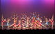 Noosa Professional Dance Academy - thumb 1