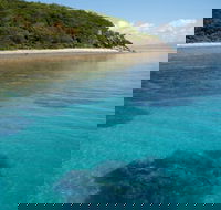 Remote Area Dive - Australian Directory