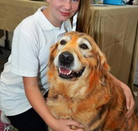 Eumundi Pet Grooming - Australian Directory