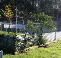 TLC Pet Care Coffs Harbour - Australian Directory