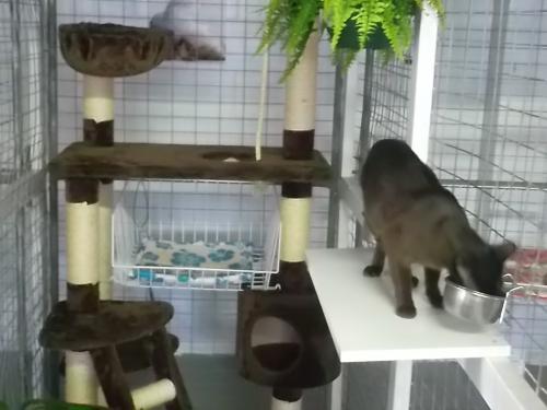 Cluden QLD Australian Directory