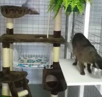 Cluden Pet Motel - Australian Directory