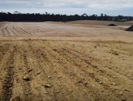 CJ’s Contracting - Australian Directory 1