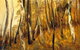 Light Horse Gallery - thumb 2