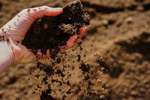 Rural Garden Supplies - Australian Directory 0