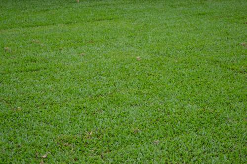 Gumlow QLD Australian Directory