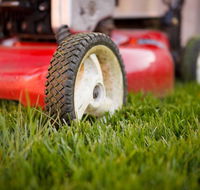 Beau Park Turf Farm - Australian Directory