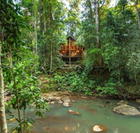 The Canopy Rainforest Treehouses and Wildlife Sanctuary - Australian Directory