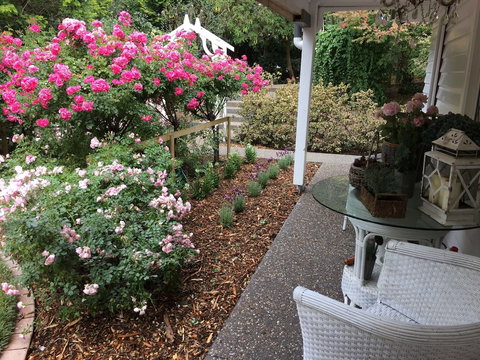 Clarendon Cottages - Australian Directory 5