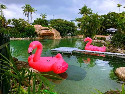 Cairns Colonial Club Resort - Australian Directory 4