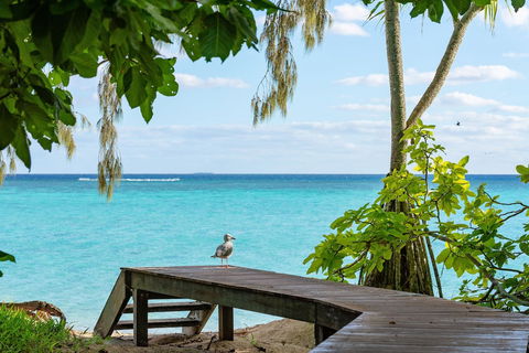 Heron Island Resort - Australian Directory 3
