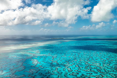 Heron Island Resort - Australian Directory 2