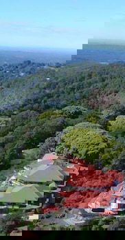 Mayfield On Montville - Australian Directory 0