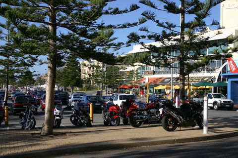 Scarborough & Absolutely Beachfront - Australian Directory 1
