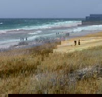 Scarborough  Absolutely Beachfront - Australian Directory