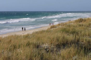 Scarborough & Absolutely Beachfront - Australian Directory 0