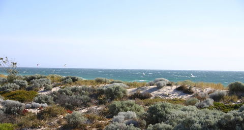 Scarborough & Absolutely Beachfront - Australian Directory 4