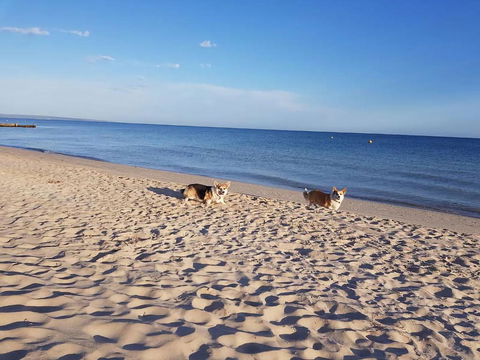 Abbey Beach Shack - Australian Directory 5