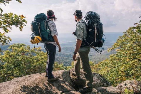 Wickham Retreat Backpackers - Australian Directory 3