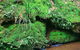 Stokers Lodge - thumb 5