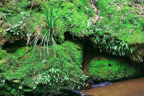 Stokers Lodge - Australian Directory 5
