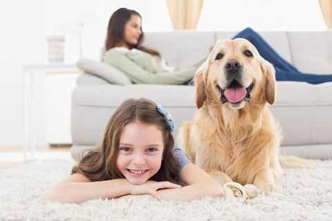 Boutique Stays Contempo - Australian Directory 2
