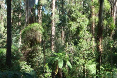SIGNAL BOX Short Stay - Australian Directory 3