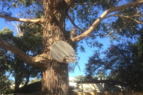 Inverloch Motel - Australian Directory 5