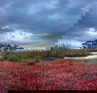 Saintys Creek Cottage - Australian Directory