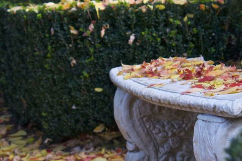 Lynrose Place - Australian Directory 5