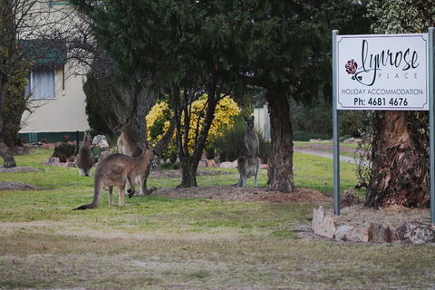 Lynrose Place - Australian Directory 7
