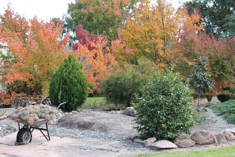 Lynrose Place - Australian Directory 4