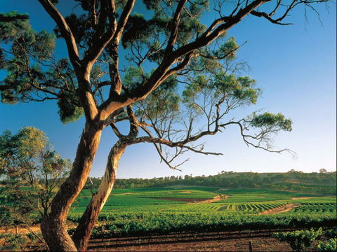 The Reserve Apartment - Australian Directory 2