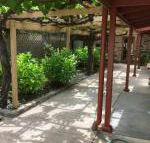 bluebird cottage - Australian Directory