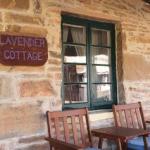 Lavender Cottage B & B - Australian Directory 0