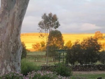 Stone Hut Cottage - Australian Directory 6