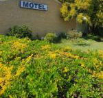 Esk Motel - Australian Directory