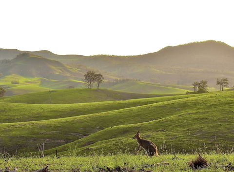 Ketchup's Bank Glamping - Australian Directory 0